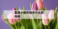 套现小鹅花钱有什么软件吗