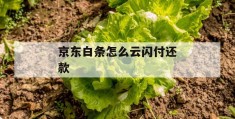 京东白条怎么云闪付还款