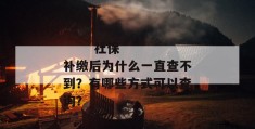 
       社保补缴后为什么一直查不到？有哪些方式可以查询？
     