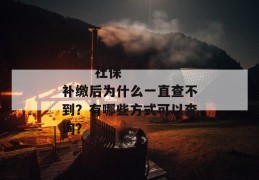 
       社保补缴后为什么一直查不到？有哪些方式可以查询？
     