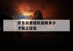 京东白条借款逾期多少才能上征信