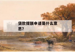 贷款提额申请是什么意思？