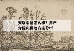 安联车险怎么样？用户介绍和保险方法分析