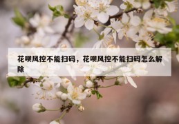 花呗风控不能扫码，花呗风控不能扫码怎么解除