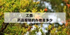 
       乙类药品报销的办理是多少
     