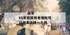 
       山东60岁农民养老保险可以领多少钱一个月
     