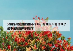 分期乐现在借钱借不了吗，分期乐不能借钱了是不是征信有问题了