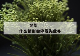 
       金华什么情形会停发失业补助金
     