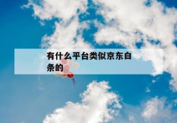 有什么平台类似京东白条的