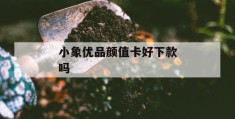 小象优品颜值卡好下款吗