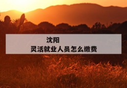 
       沈阳灵活就业人员怎么缴费
     