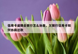 信用卡逾期去银行怎么协商，欠银行信用卡如何协商还款