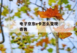 电子京东e卡怎么变现寄售