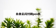 白条云闪付刷pos机