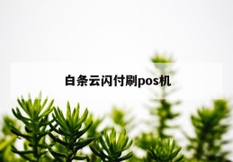 白条云闪付刷pos机