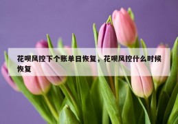 花呗风控下个账单日恢复，花呗风控什么时候恢复