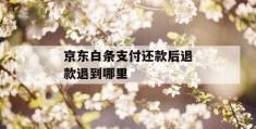 京东白条支付还款后退款退到哪里