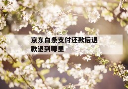 京东白条支付还款后退款退到哪里