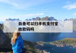 白条可以扫手机支付宝收款码吗