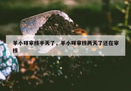 羊小咩审核半天了，羊小咩审核两天了还在审核