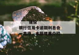 
       建设银行信用卡逾期利息会一直涨，本篇隆重介绍！
     