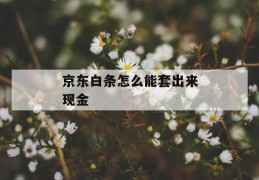 京东白条怎么能套出来现金