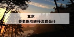 
       北京养老保险转移流程是什么
     