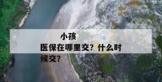 
       小孩医保在哪里交？什么时候交？
     