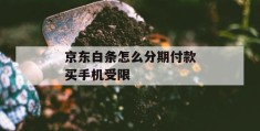 京东白条怎么分期付款买手机受限