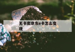 无卡密京东e卡怎么变现