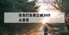 京东打白条立减30什么意思