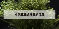 小鹅花钱逾期起诉流程