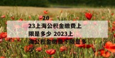 
       2023上海公积金缴费上限是多少 2023上海公积金缴费下限是多少
     