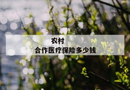 
       农村合作医疗保险多少钱
     