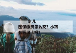 
       少儿医保缴费怎么交？小孩有医保卡吗？
     