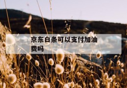 京东白条可以支付加油费吗