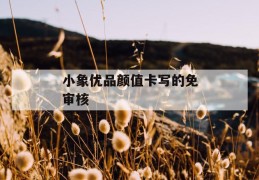 小象优品颜值卡写的免审核