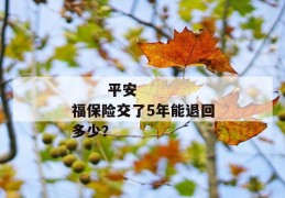 
       平安福保险交了5年能退回多少？
     