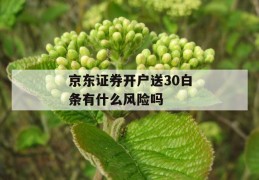 京东证券开户送30白条有什么风险吗