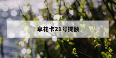 享花卡21号提额