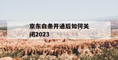 京东白条开通后如何关闭2023