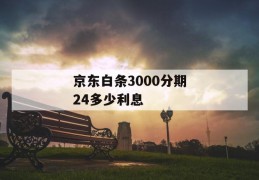 京东白条3000分期24多少利息