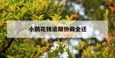 小鹅花钱逾期协商全还