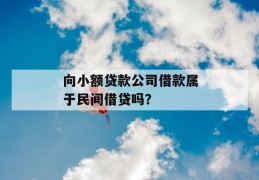 向小额贷款公司借款属于民间借贷吗？