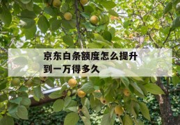 京东白条额度怎么提升到一万得多久