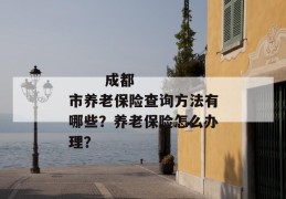 
       成都市养老保险查询方法有哪些？养老保险怎么办理？
     