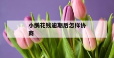 小鹅花钱逾期后怎样协商