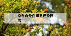 京东白条在哪里还款微信