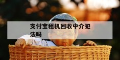 支付宝租机回收中介犯法吗