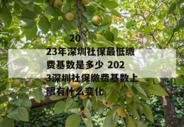 
       2023年深圳社保最低缴费基数是多少 2023深圳社保缴费基数上限有什么变化
     